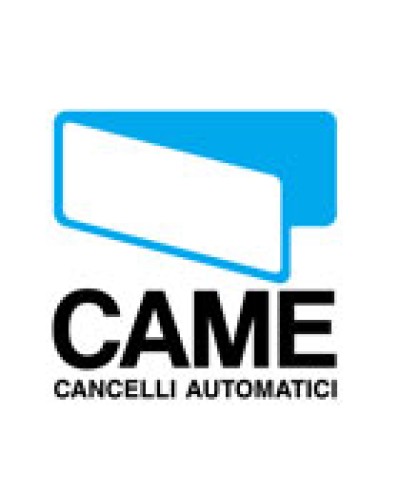 Микровыключатель без рычага Came 119RIR083 в Артеме Запчасти для шлагбаумов и автоматики Pintop.ru