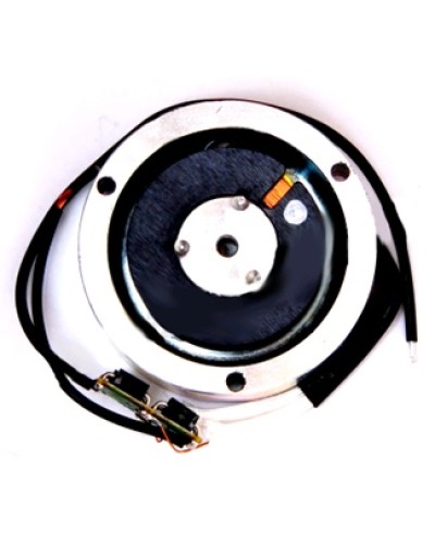 Электромагнит BY1500T Came 119RIY034 в Артеме Запчасти для шлагбаумов и автоматики Pintop.ru