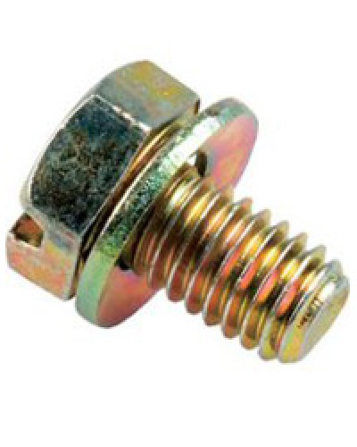 Винт с шайбой М6х10мм TH Legrand 036775 в Артеме Крепеж Pintop.ru