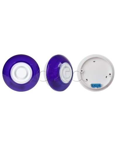 Оповещатель комбинированный SLT Марс 12-КП (строб, син) в Артеме Оповещатели Pintop.ru